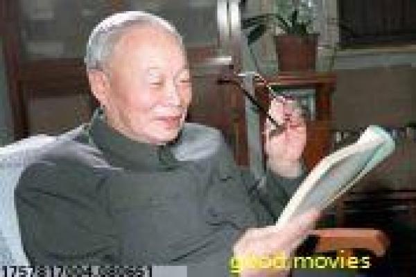 《精灵宝可梦,波尔凯尼恩与机巧的玛机雅娜》故事情节还原,宝可梦精灵的机械冒险与战斗