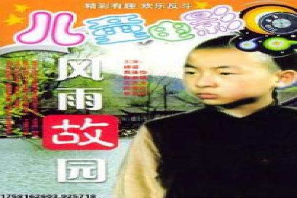 《外来书记》影片详细,外来书记乡村的励志故事