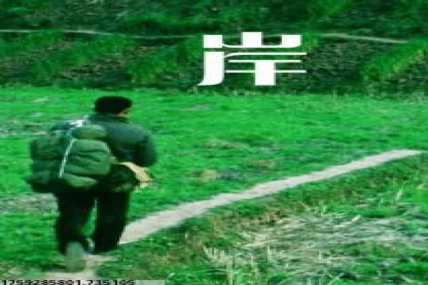 君九龄观看-公主复仇医术传奇影片简介,逆袭人生的热血故事情节深度还原与古装剧情
