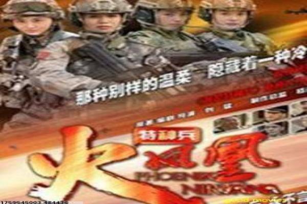 《过时·过节》影片详细,过时过节家庭的温馨故事