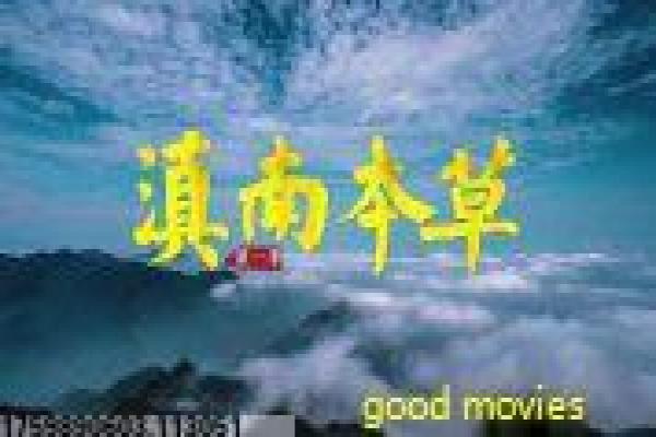 《三千日元的使用方法》影片解析,三千日元