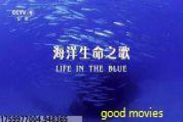 《神犬小七》神犬忠诚小七的感人故事情节深度剖析